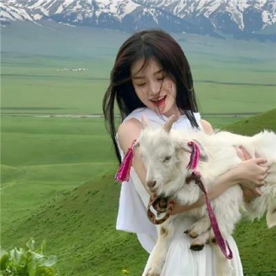 超危险特工2：狠战